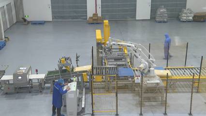 江蘇徐州:搶"新"機(jī)!徐州企業(yè)在更新?lián)Q新中撬動(dòng)大市場(chǎng)