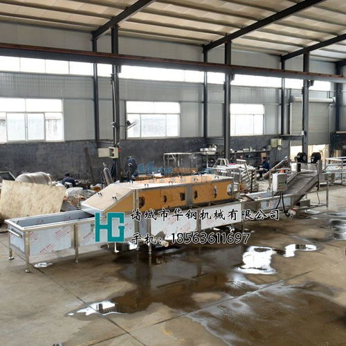 華鋼火龍果清洗機(jī),檸檬清洗機(jī)定制加工 諸城市華鋼機(jī)械銷(xiāo)售部