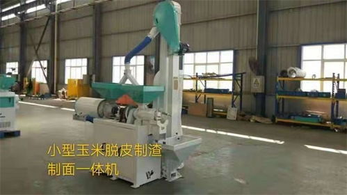 玉米精選設備銷售 玉米精選設備 工聯糧油機械產品